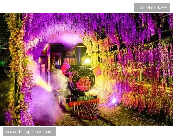 欢乐嘉年华盛大开启,精彩纷呈等你来体验